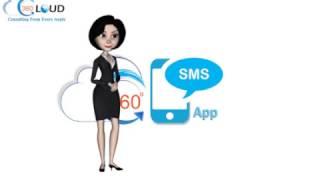 Send SMS / Text Message from Custom Object using 360 SMS App in Salesforce