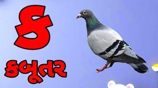 કક્કો ગુજરાતી | ગુજરાતી કક્કો અને સ્વર | કખગઘ | અઆઇઈ | ગુજરાતી મૂળાક્ષરો | Gujarati Kakko| kakko