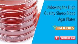 Unboxing the high quality Sheep Blood Agar Plates, manufactured by TM Media