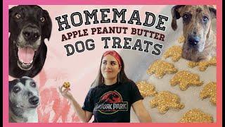 Healthy & Homemade Apple Peanut Butter Dog Treats 