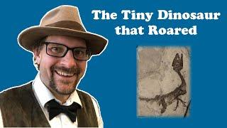 The Tiny Dinosaur that Roared: the story of Scipionyx
