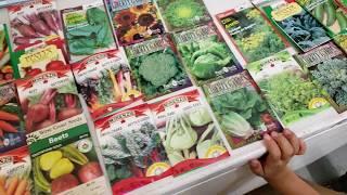 Vegetables That Grow Well in Pacific Northwest and British Columbia - Part 1