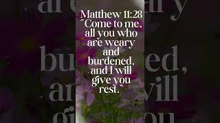 Matthew 11:28 #viralvideos   #shorts #holyweek #bible  #love