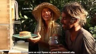 Современные ульи колоды, из Калуги 1