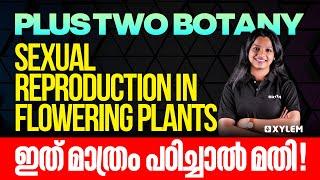 Plus Two Botany | Sexual Reproduction In Flowering Plants - ഇത് മാത്രം പഠിച്ചാൽ മതി | Xylem Plus Two