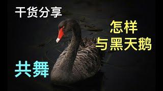 干货分享：投资必看《黑天鹅》读书笔记，醍醐灌顶！