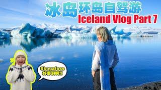 冰岛Vlog Part 7 | Skogafoss的澎湃!! 黑沙滩的狂风!! | 冰岛环岛自驾游 #iceland #visiticeland