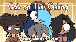 Cat on The Ceiling :: Animation Meme