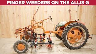 Dos and Dont's - Finger Weeding On The Allis Chalmers G