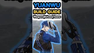 Yuanwu Build Guid Weapons Echoes Teams Wuthering Waves #wutheringwaves #wutheringwavesguide