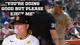 Manager kindly asks umpire to eject him, a breakdown