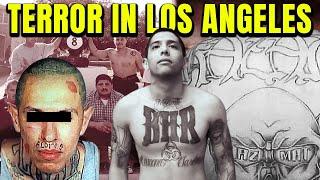 Die Gefährlichste Gang in Los Angels - Die Big Hazard Gang