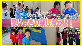 【教室紹介】Wish体操クラブ：クラス紹介！