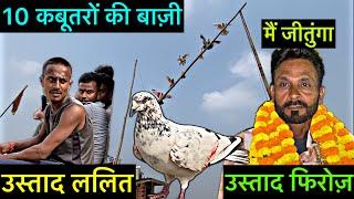 10 कबूतरों की बाज़ी || kabootar bazi 2024 || bazi wale kabootar || pigeon tournament 2024