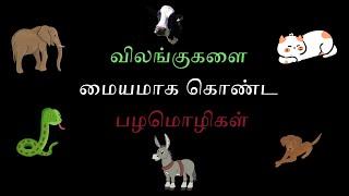 விலங்குகளை மையமாக கொண்ட பழமொழிகள் #infostream #tamil #தமிழ் #pazhamozhi #பழமொழி #proverbsintamil