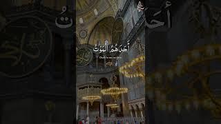 The Book That Has no Doubt #quranverses #qurantine #quranic #shorts