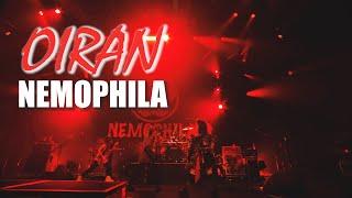 NEMOPHILA / OIRAN [Official Live Video]