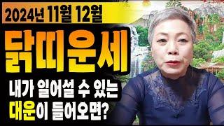 2024년 양력11월 12월 닭띠운세닭띠분들 대박! 대운이 들어올 징조는?  57년생 69년생 81년생 93년생 닭띠운세 #서울점집 장안동 방울보살