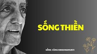 135. Sống thiền - Sách nói Krishnamurti Tiếng Việt