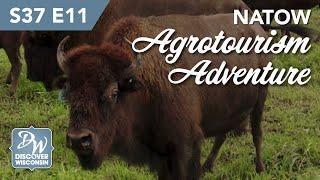 NATOW - An Agritourism Adventure