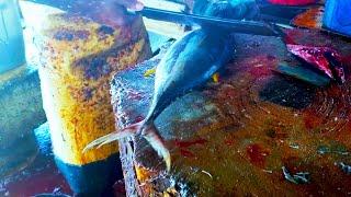 Fish Cutting Skills | Cutting Tuna In Negombo Lellama