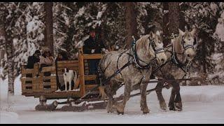 Sleigh Ride Dinner at Lone Mountain Ranch