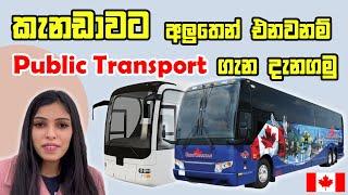 කැනඩාවට අලුතින් එනවනම් public transport ගැන දැනගෙන ඉන්න ඕනේ හැමදේම| public transport in Canada