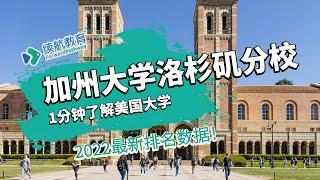 一分钟了解美国加州大学洛杉矶分校—2022年最新排名—续航教育可视化大数据