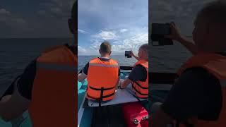На BoatParty 2024 вы сможете протестировать лодки и моторы Gladiator! Успейте посетить до 15 июня!