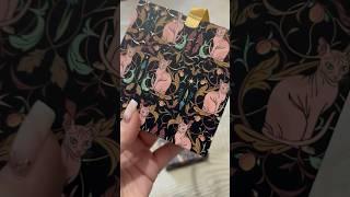 TAMMY TANUKA ДИВНОГЛАЗЫЙ БЛУДНЫЙ КОТ