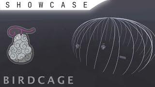 Birdcage ー Roblox VFX