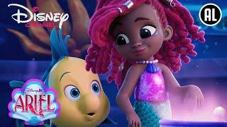 Ariel | ‍️ Een Nieuwe Serie! | Disney Channel NL