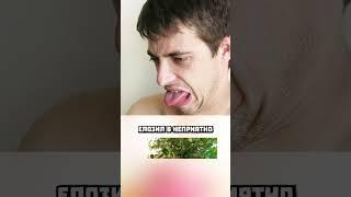 Отомстил настырному пассажиру