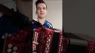 Бабы спорили в Кашире #гармонь #частушка #песниподгармонь #матаня #наигрыши