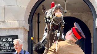 Thirst Quencher's Delight: A Regal Horse's Toothsome Grin!"