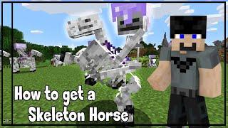 How to Get Skeleton Horses In Minecraft : 5 min Tutorial