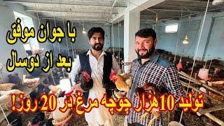 کار فارم مرغداری خالد وردک به کجا رسیده؟ I meet Khalid Wardak the Successful youth in Kabul