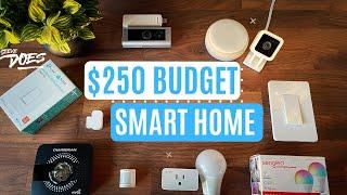 $250 BUDGET Smart Home Setup For Beginners + Automation Ideas!