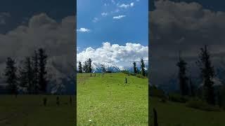 Gallai meadows Allai Valley kpk