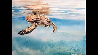 Sea turtle watercolor time lapse