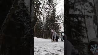 Видео с подругой ️️#квадробика#спорт#лед#териантропия#terian#популярное#реки2023#shorts#2023