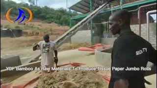 Bamboo as raw materials to produce tissue paper jumbo rolls/tissue paper making machine