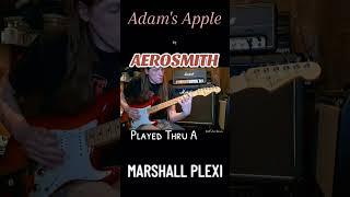 #adamsapple #aerosmith #marshallplexi #riffoftheday #guitartone #classicrock #fender #guitar #riffs