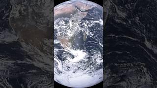 Plant Earth.  #facts #shortvideo #planetearth #shorts