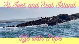 St Ives and Seal Island   4K