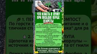 ТОП 5 СЕКРЕТОВ Что класть в лунку при посадке перца для хорошего урожая #подкормкарассады #огород