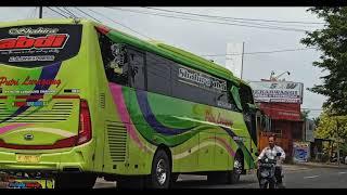 Cinematic Bus Putri Luragung Shahira Abdi Galur 01