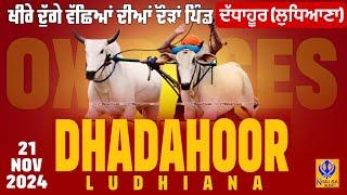 [Live] Dhadahoor | Ludhiana | ਖੀਰੇ ਦੁੱਗੇ ਵੱਛਿਆਂ ਦੀਆਂ ਦੌੜਾਂ | Ox Races | 21 Nov 2024