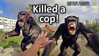 When Dangerous Chimps ATTACK Cops