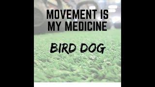 Bird Dog - Eldersburg Chiropractor will teach you how!